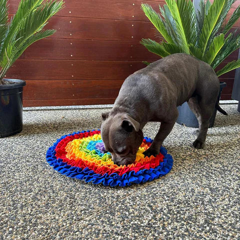 The Benefits of Snuffle Mats.