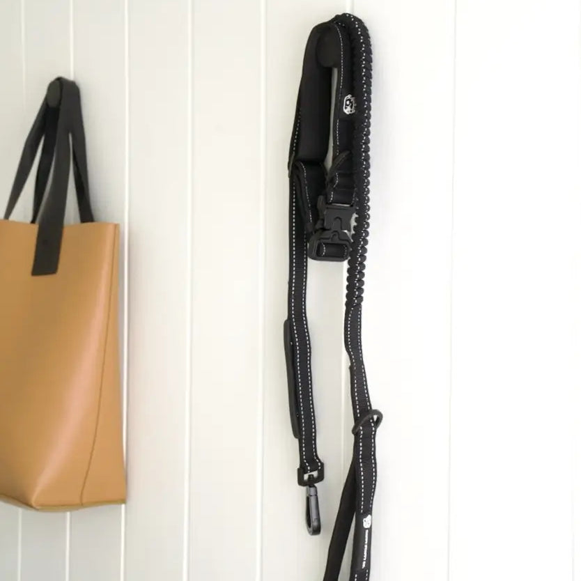 Anti Shock Bungee Leash
