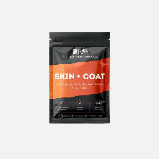 Skin & Coat Dog Supplement