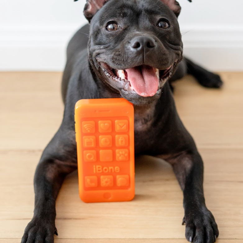 Chewzilla iBone